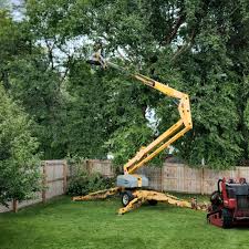 Best Seasonal Cleanup (Spring/Fall)  in Altus, OK