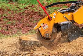 Best Weed Control  in Altus, OK
